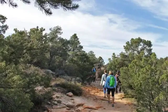 Hiker on a mountain trail in the wilderness